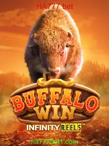 Descubra o Mundo de BuffaloWin: O Novo Jogo de Apostas HA777 Bet