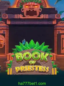 Book of Priestess: Um Mergulho no Fascinante Mundo do Jogo